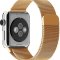 Сетчатый браслет HOCO Milanese Loop для Apple Watch 42 mm (Gold) - 